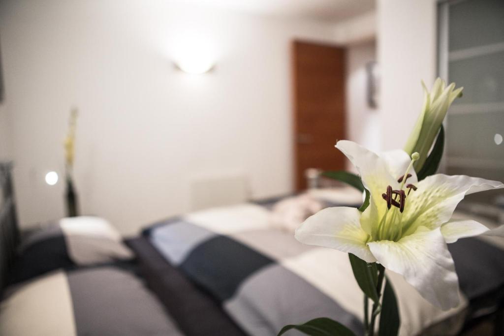 New Apartamento Londres